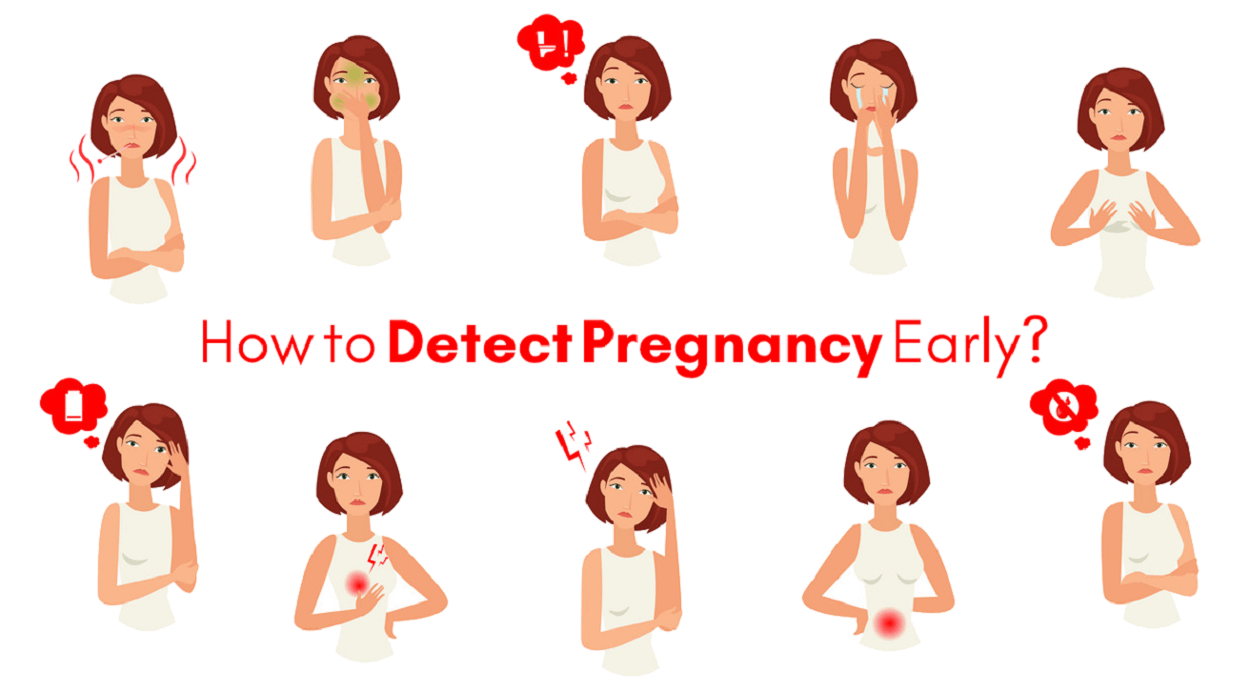 What Does A Missed Period Indicate