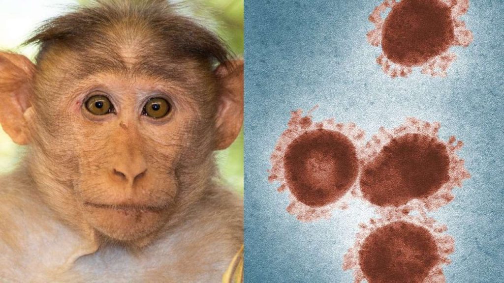 First Human Death From Monkeypox Infection Reported in China; Read This