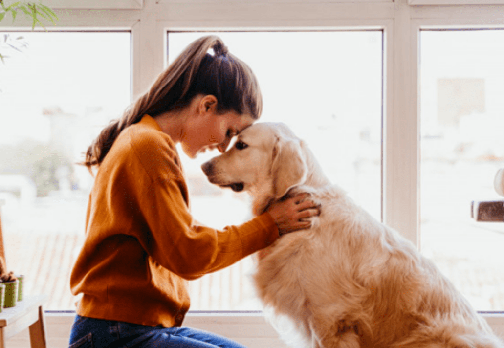 Do You Know That Pets Can Reduce Your Stress? Checkout!!! - Woman's era
