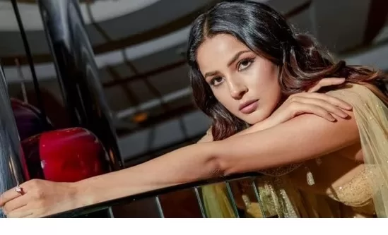 Shehnaaz Gill Reveals How She Gets Treated In Bollywood; Says, 'Chote Logo Ko Side Pe...'