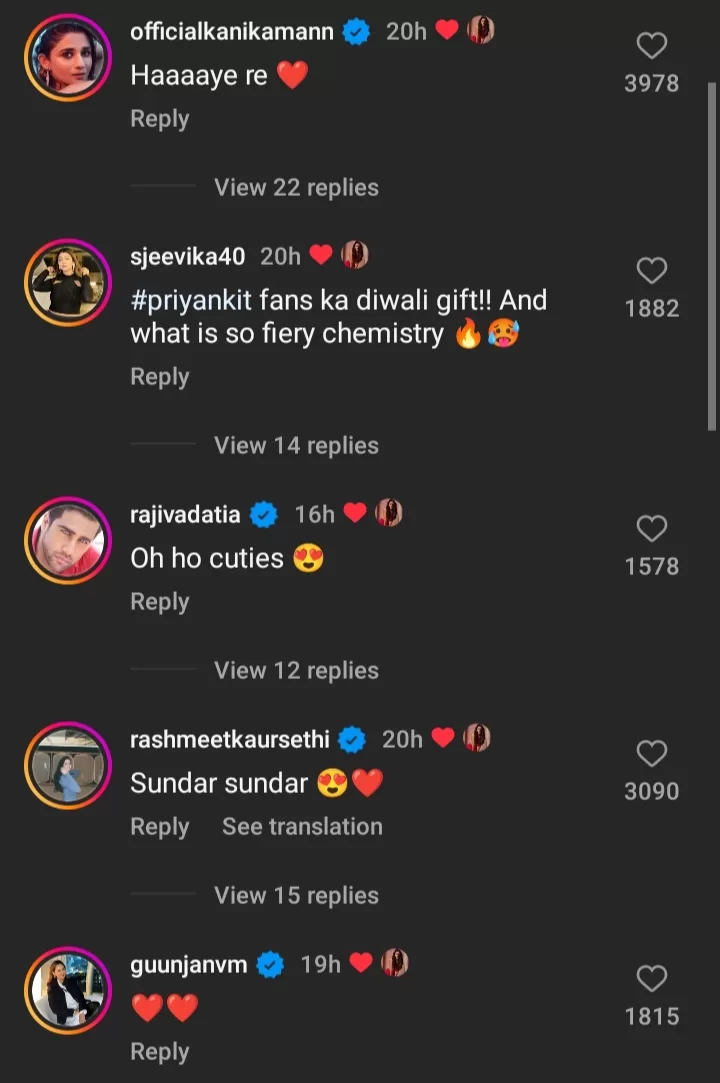 TV stars comment under Priyankit's post