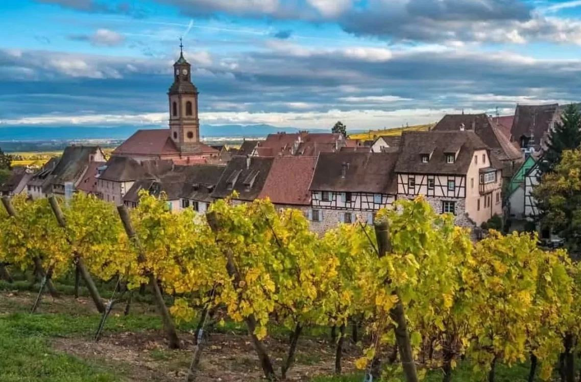 Europe vineyards travel