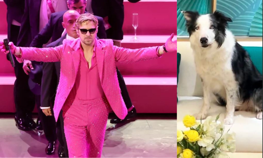 Ryan Gosling Messie the Dog