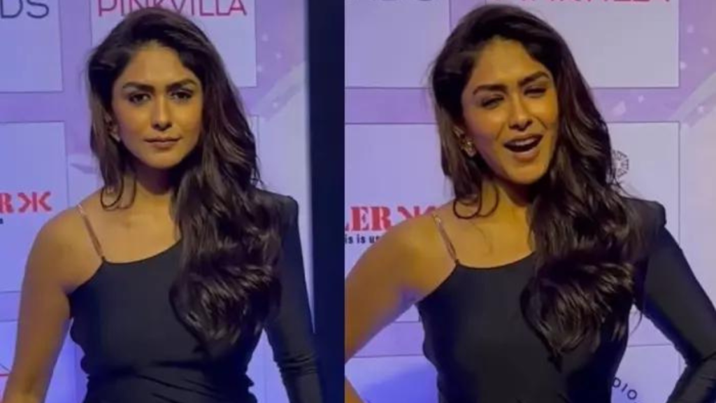 Mrunal Thakur Stands Firm Against Paparazzi's Inappropriate Request, Netizens Rally Behind Her