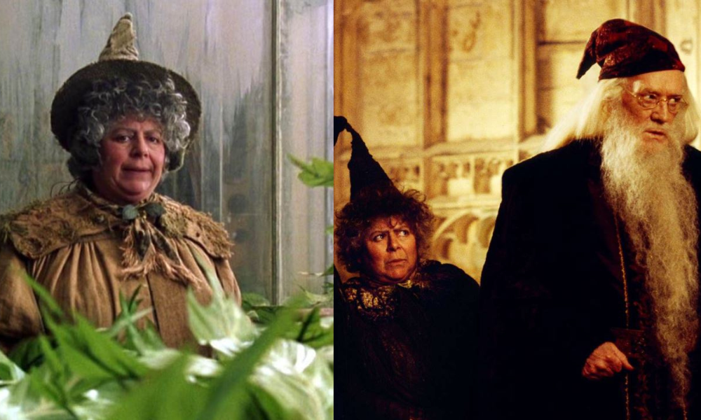 Harry potter Miriam Margolyes professor sprout 