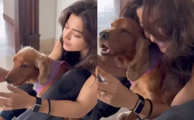 Actress Rashmika Mandanna